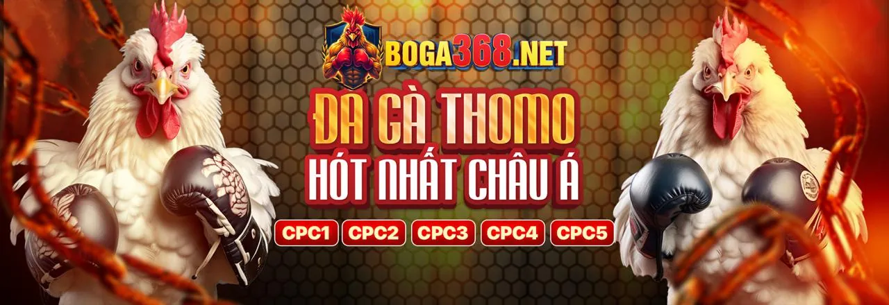 Đá Gà Trực Tuyến U888 - Các Trận Đấu Gà Chọi Kịch Tính